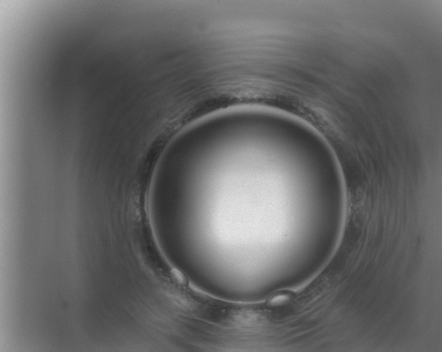 X0000072990547200607290016