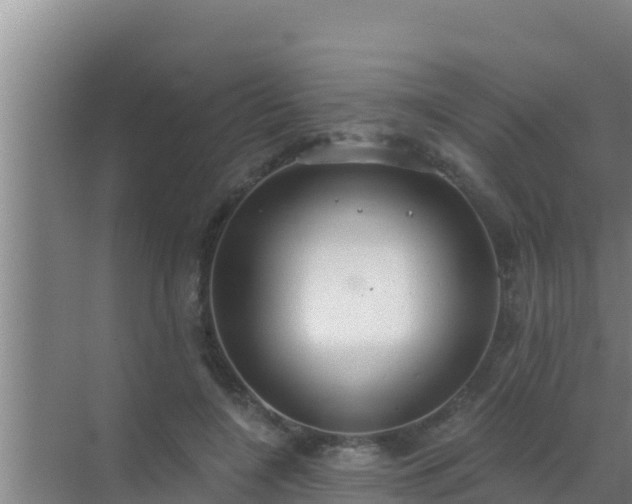 X0000072990548200607290016