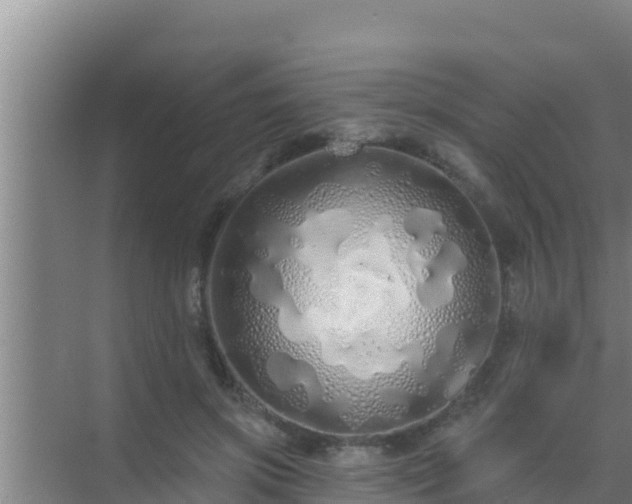 X0000072990549200607290016