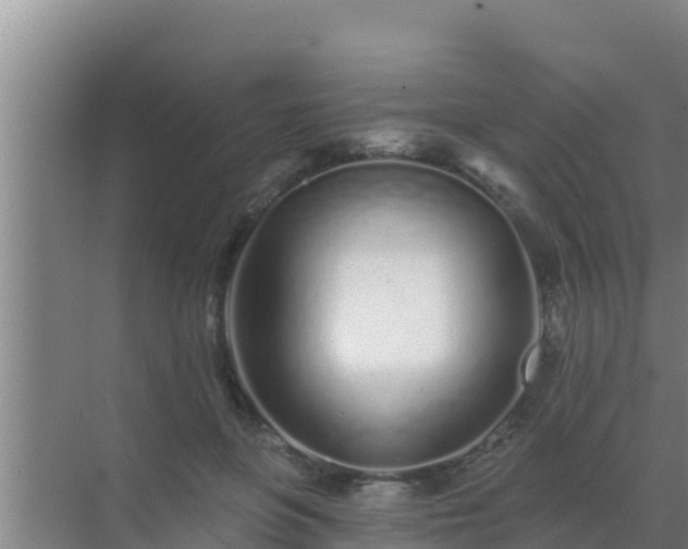 X0000072990551200607290016