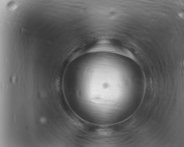 X0000072990556200607290016