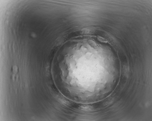 X0000072990557200607290016