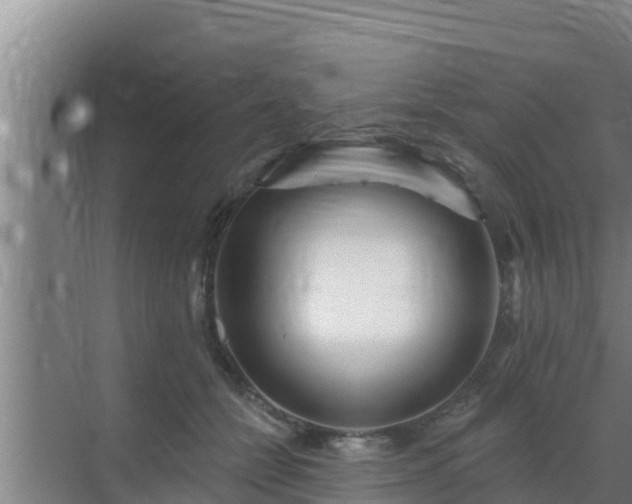 X0000072990558200607290016