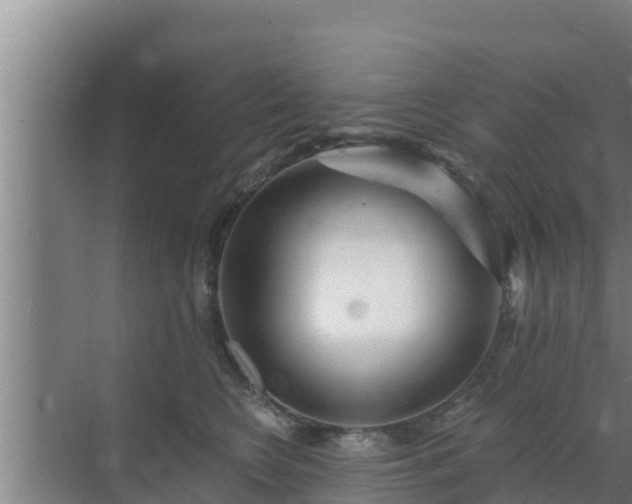 X0000072990566200607290017