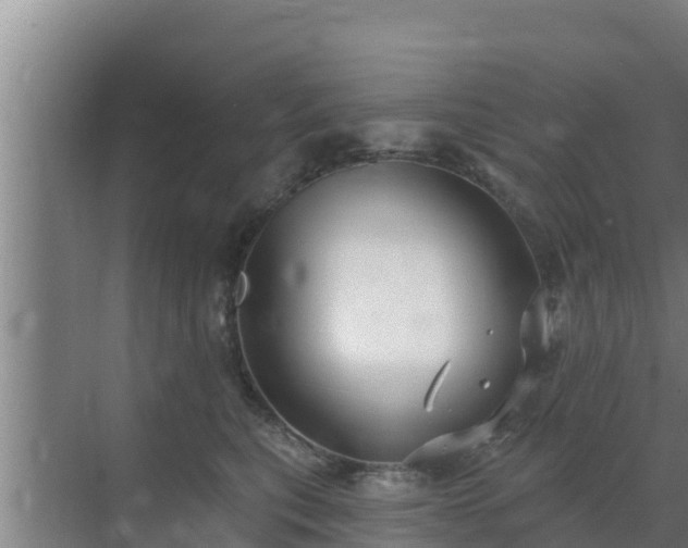 X0000072990567200607290017