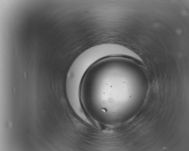 X0000072990570200607290017