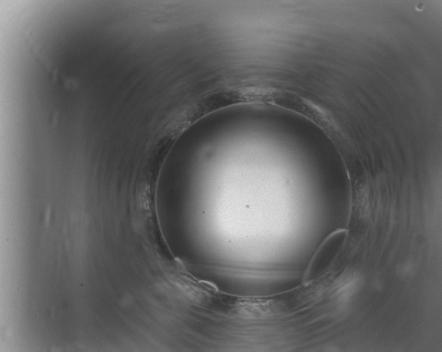 X0000072990571200607290017