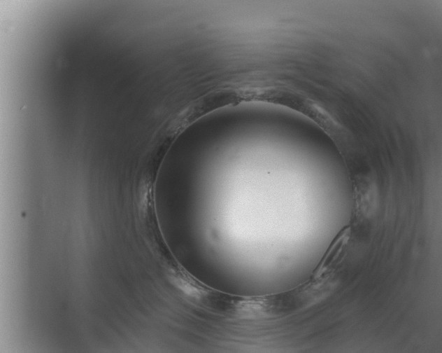 X0000072990574200607290017