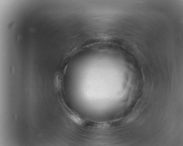 X0000072990576200607290017