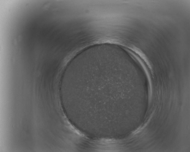 X0000072990577200607290016