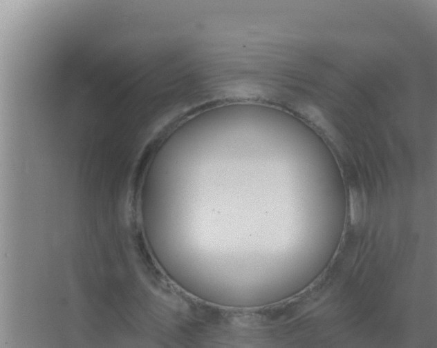 X0000072990579200607290016