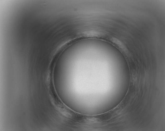 X0000072990583200607290016