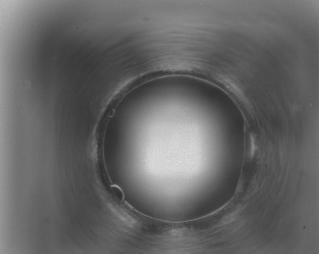 X0000072990584200607290016