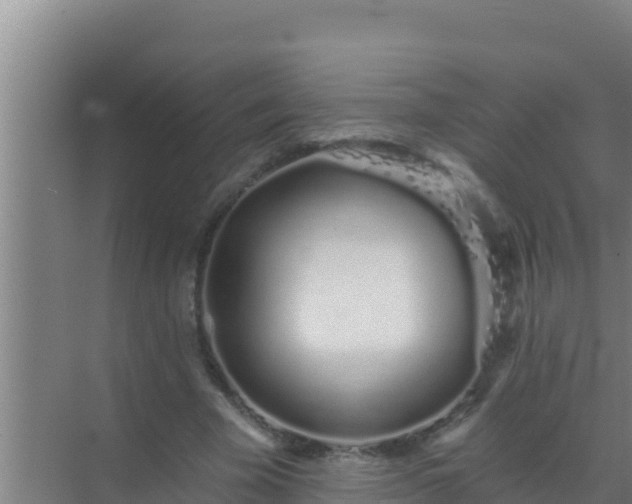 X0000072990585200607290016