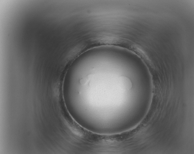 X0000072990586200607290016