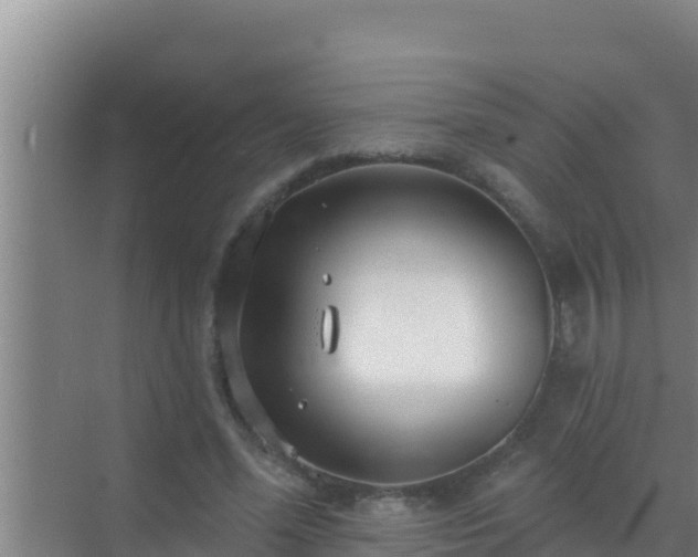 X0000072990588200607290016