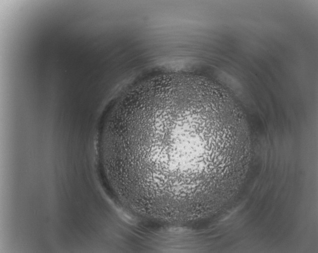 X0000072990590200607290016