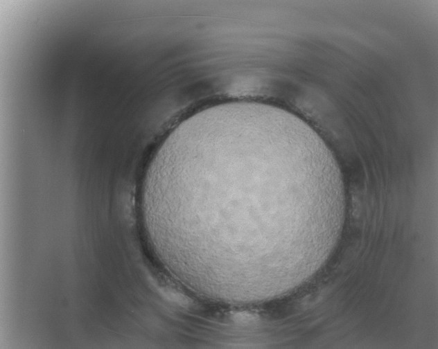 X0000072990592200607290016