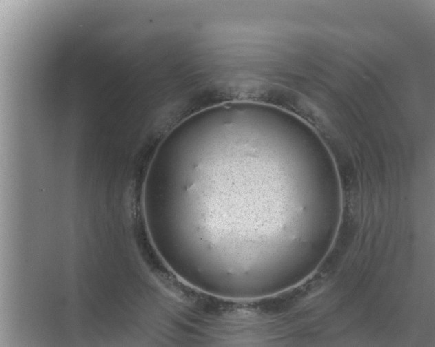 X0000072990594200607290016