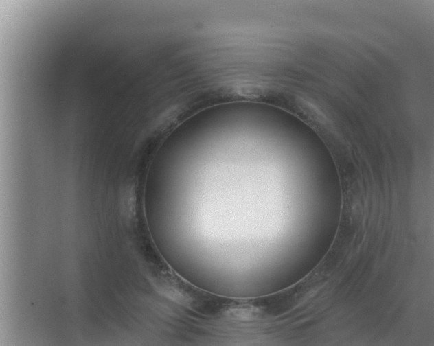 X0000072990595200607290016