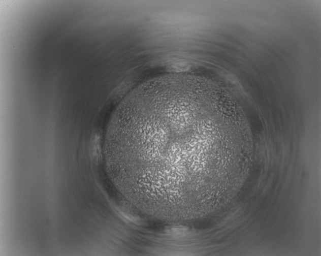 X0000072990598200607290016