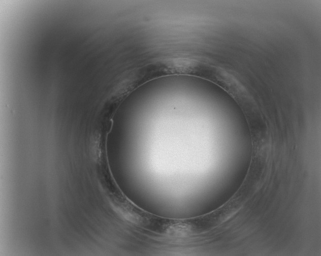 X0000072990599200607290016