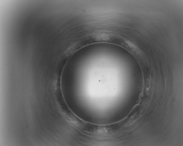 X0000072990600200607290016