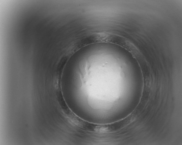 X0000072990602200607290016