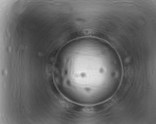 X0000072990606200607290015