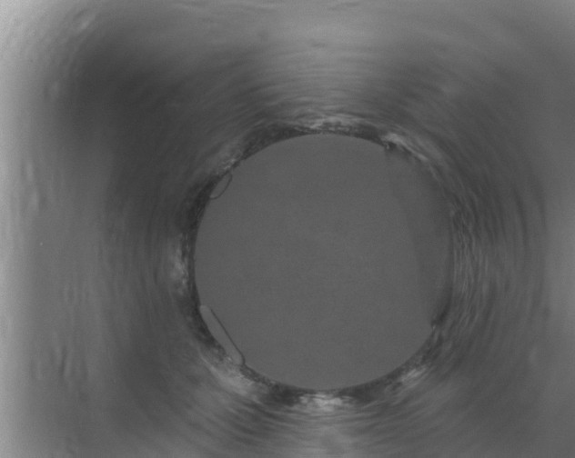 X0000072990607200607290015