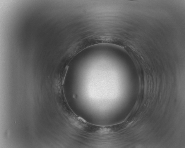 X0000072990609200607290015