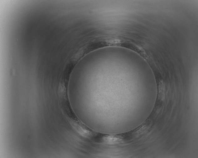 X0000072990614200607290015