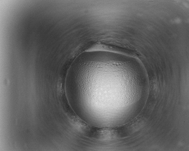 X0000072990615200607290015