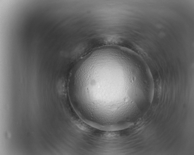 X0000072990619200607290015