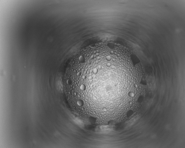 X0000072990622200607290015