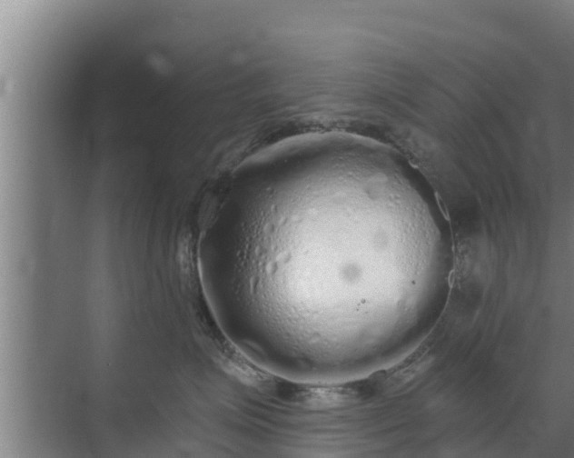 X0000072990623200607290015