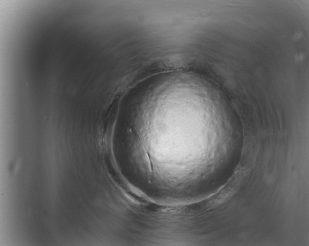 X0000072990624200607290015