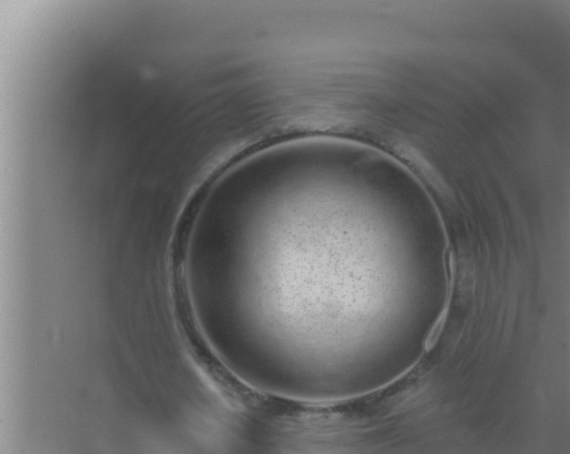 X0000072990626200607290014