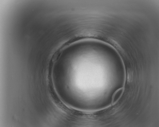 X0000072990627200607290014