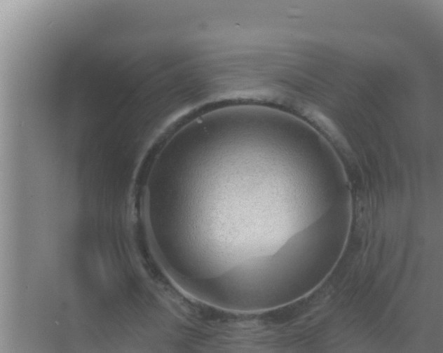 X0000072990628200607290014