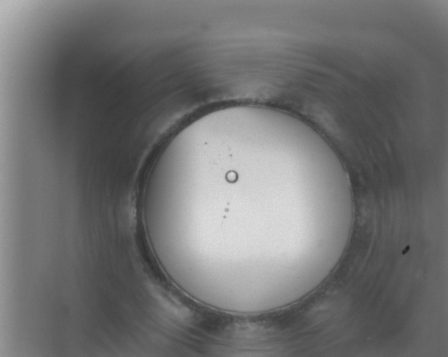 X0000072990632200607290014