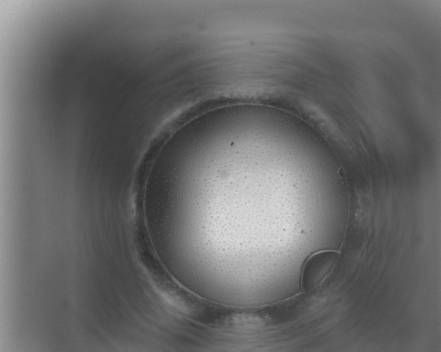 X0000072990636200607290015