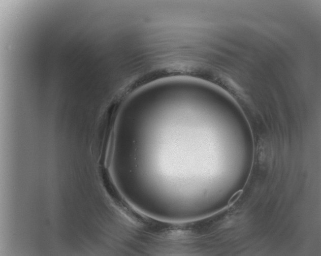 X0000072990637200607290015