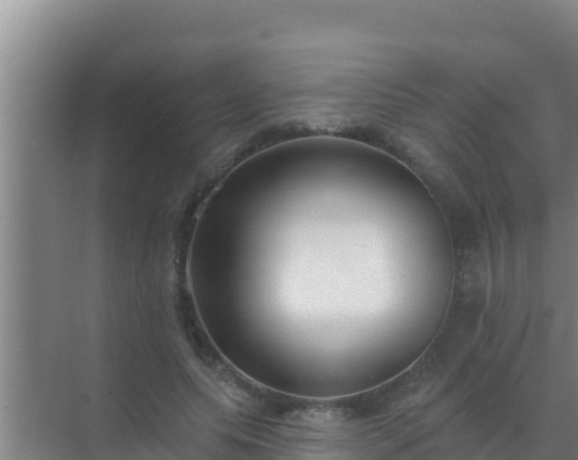 X0000072990639200607290015