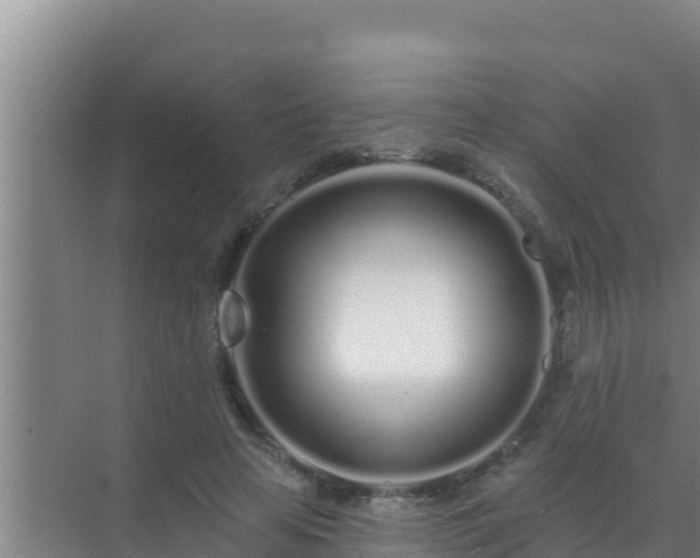 X0000072990641200607290015