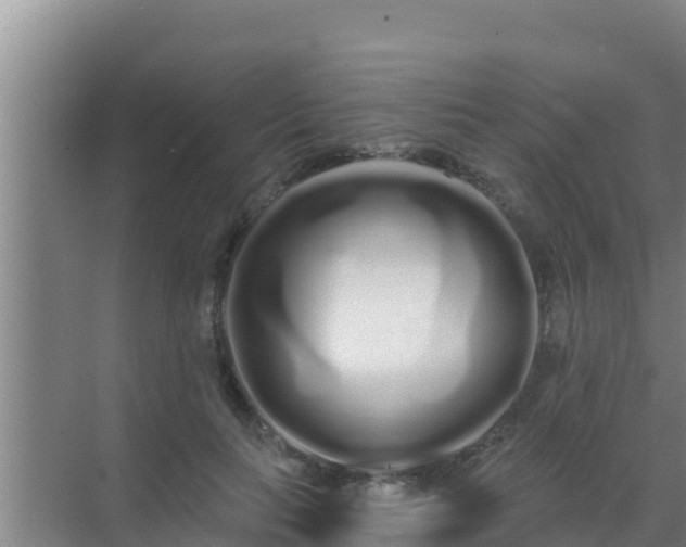 X0000072990647200607290015