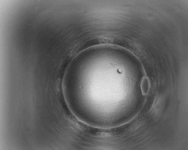 X0000072990649200607290015