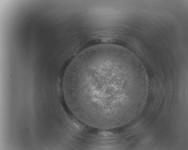 X0000072990650200607290015