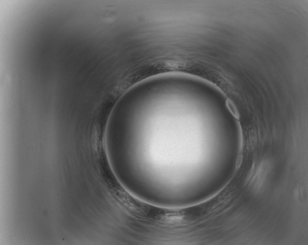 X0000072990651200607290015