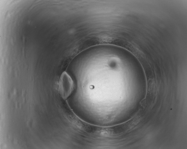 X0000072990655200607290015